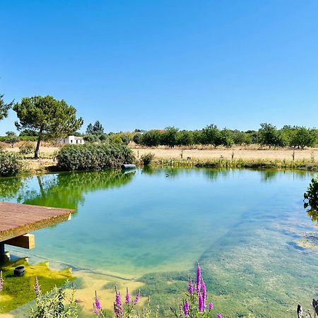 Glamping On Organic Yoga Farm With Natural Swimming Pool Near Beach Moncarapacho Ngoại thất bức ảnh