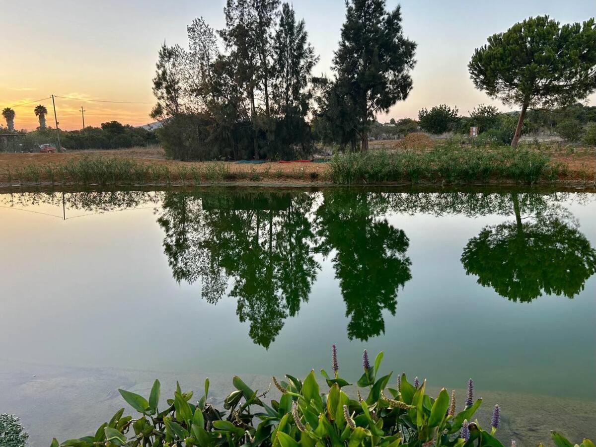 Glamping On Organic Yoga Farm With Natural Swimming Pool Near Beach Moncarapacho Ngoại thất bức ảnh