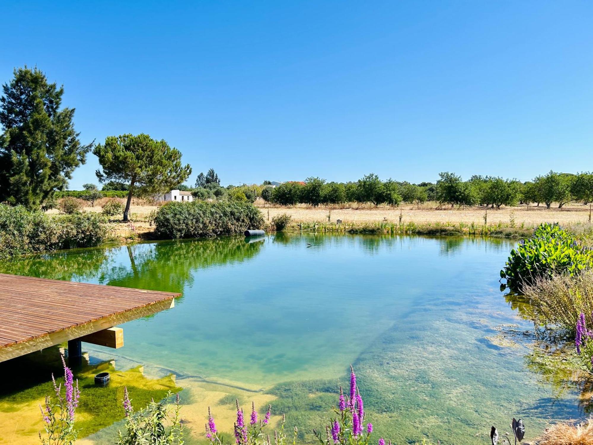 Glamping On Organic Yoga Farm With Natural Swimming Pool Near Beach Moncarapacho Ngoại thất bức ảnh